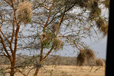 DSC_4122 (Large).JPG